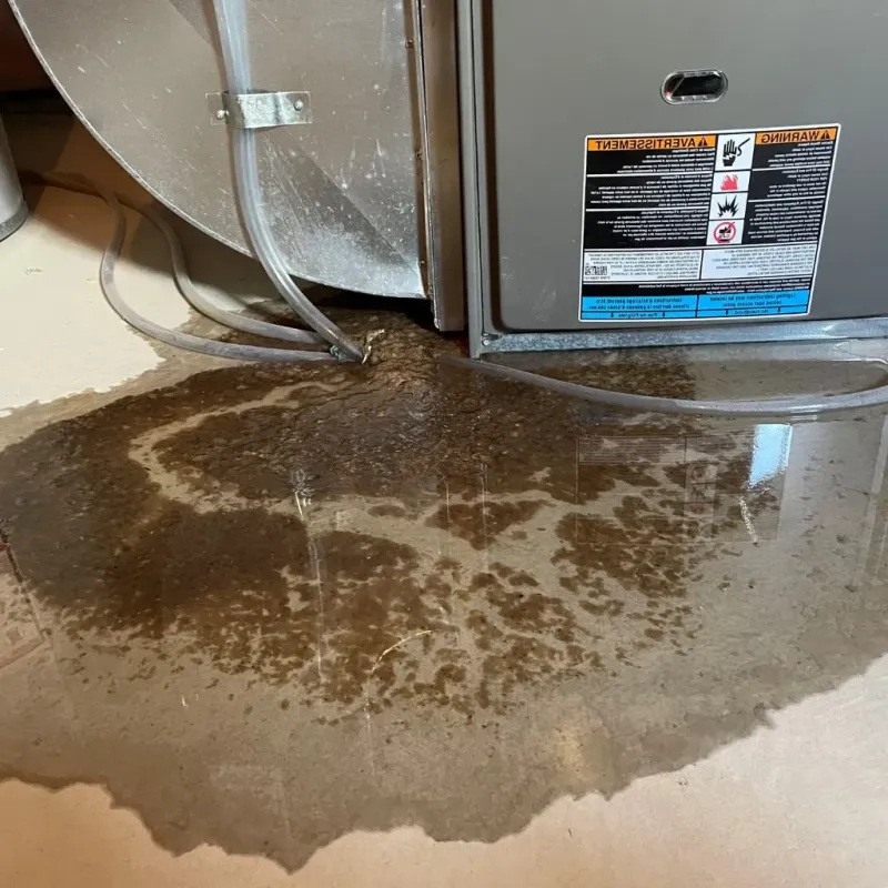 Pipe Burst and Leak Restoration in Barbourville, KY