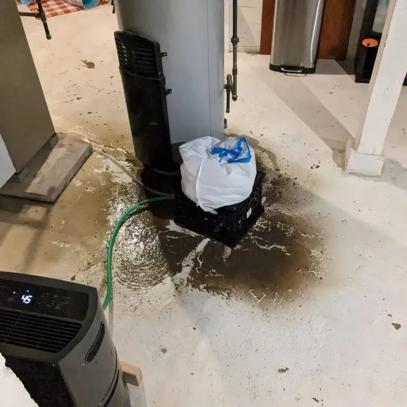 Sewage Backup Cleanup Service in Barbourville, KY